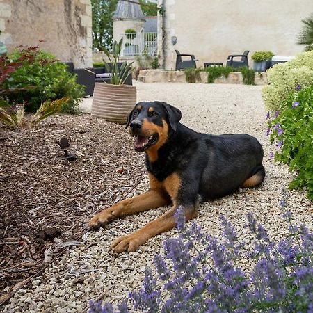 Manoir De La Mazeraie, Ideal Pour Le Teletravail Joué-lés-Tours Exteriör bild