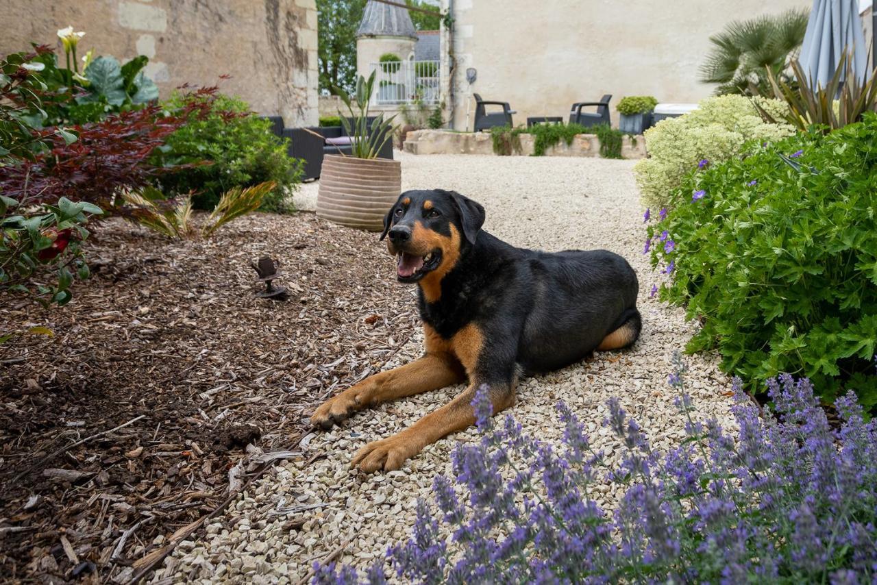 Manoir De La Mazeraie, Ideal Pour Le Teletravail Joué-lés-Tours Exteriör bild
